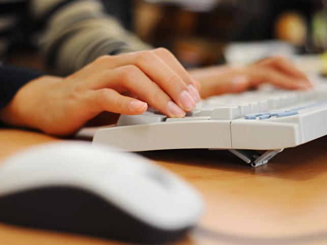 Urząd pozwoli wyciąć drzewo przez internet