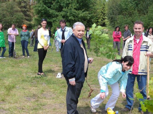 Uschły dęby Kaczyńskiego. Oblano je kwasem?