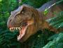 Polscy paleontolodzy przyłapali dinozaura na jego własnych śladach