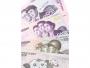Północnokoreańskie banknoty