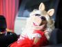 Miss Piggy