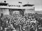 To było piekło na ziemi. 67. rocznica wyzwolenia Auschwitz