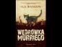 "Wędrówka Murriego" banalna jak "Alchemik"